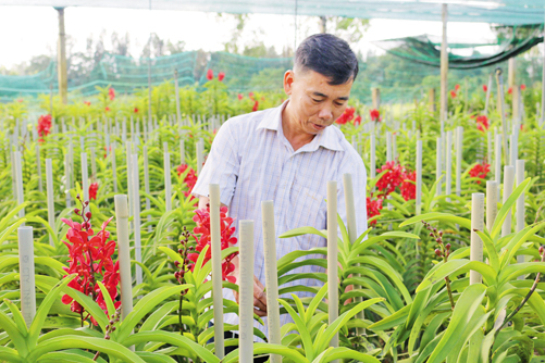Người dân hưởng lợi từ chính sách và ngân hàng ảnh 1
