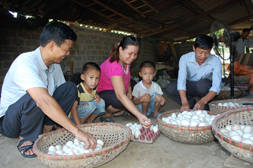 Chị Quê làm giàu ảnh 1