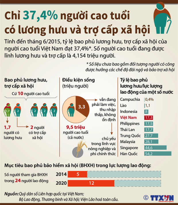 Chỉ 37,4% người cao tuổi có lương hưu và trợ cấp xã hội ảnh 1