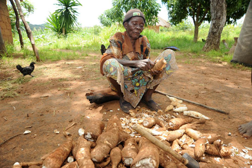 Phụ nữ Zambia chịu thiệt thòi do khai thác mỏ ảnh 3