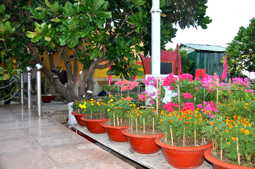 Đảo Sơn Ca có “Vườn hoa Đại tướng” ảnh 2