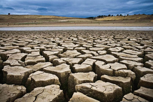 COP21-Cơ hội cuối cùng cứu Trái đất? - Kì 1 ảnh 1