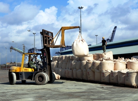 9 tháng đầu năm nhập siêu gần 4 tỷ USD ảnh 1