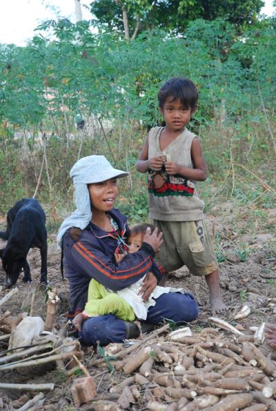 Ngăn chặn phá rừng trồng sắn ảnh 1
