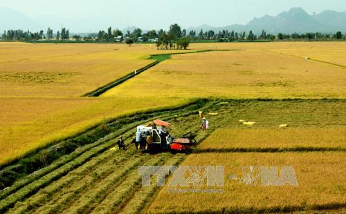 Những điểm mới trong dự thảo văn kiện Đại hội XII của Đảng ảnh 2