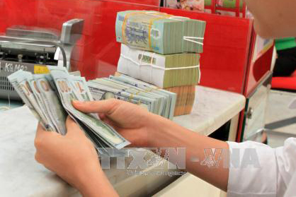 Giá đô la Mỹ hồi phục ảnh 1