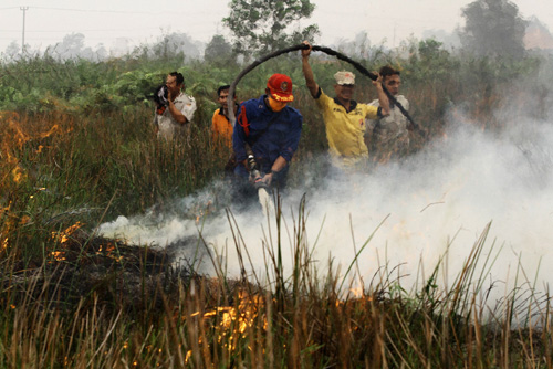 Gốc rễ của vấn đề khói bụi ở Indonesia ảnh 1