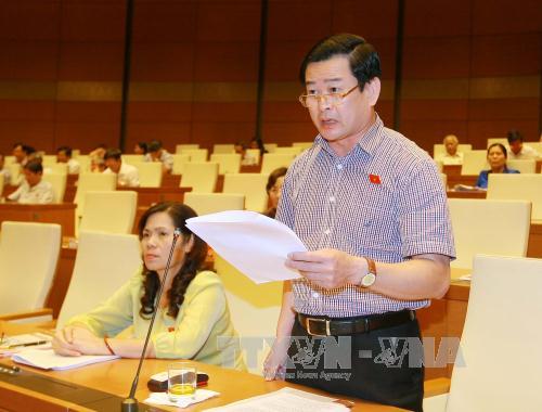 Đánh giá sâu tồn tại, tìm giải pháp phát triển bền vững ảnh 1