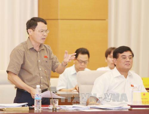 Đánh giá sâu tồn tại, tìm giải pháp phát triển bền vững ảnh 2