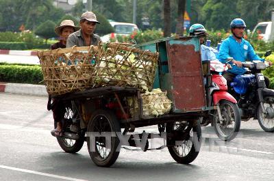 Hà Nội ra quân xử lý xe máy cũ nát ảnh 1