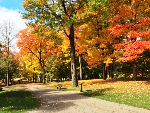 Canada vào thu đẹp mê hồn với lá vàng, lá đỏ ảnh 2