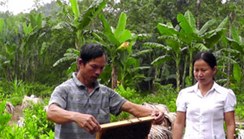 Làm giàu từ mô hình tổng hợp ảnh 1