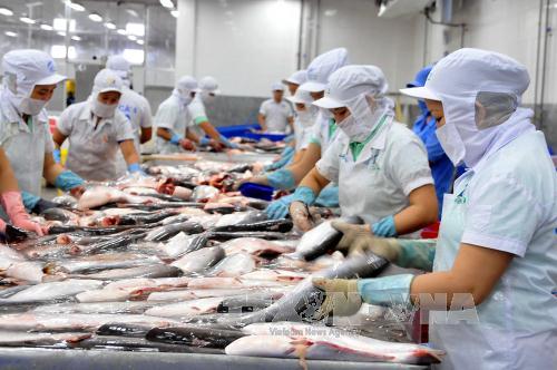 Trao đổi các biện pháp hợp tác Việt Nam - EU ảnh 2