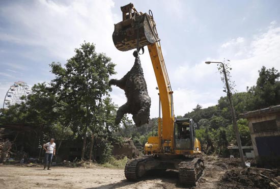 Loạt ảnh thiên nhiên cảnh báo thức tỉnh nhân loại ảnh 4