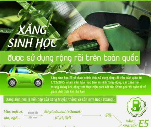Xăng sinh học được đưa vào sử dụng rộng rãi 