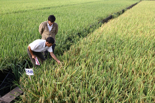 Góp sức, chung tay của “bốn nhà” ảnh 1