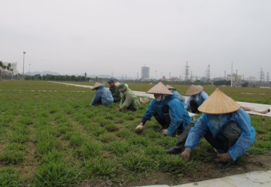 Quảng trường và Tượng đài Đinh Tiên Hoàng Đế sẽ sớm hoàn thành ảnh 3