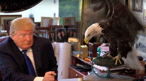 Ông Trump bị “đại bàng nước Mỹ” tấn công ảnh 1