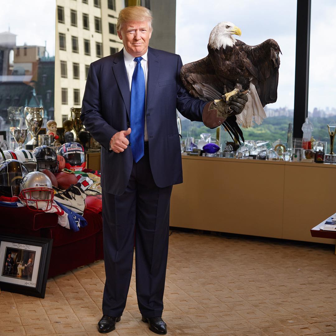 Ông Trump bị “đại bàng nước Mỹ” tấn công ảnh 2