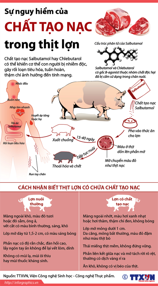 Độ nguy hiểm của chất tạo nạc trong thịt lợn ảnh 1