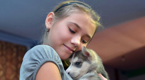 Tổng thống Putin tặng cún husky làm quà năm mới ảnh 1