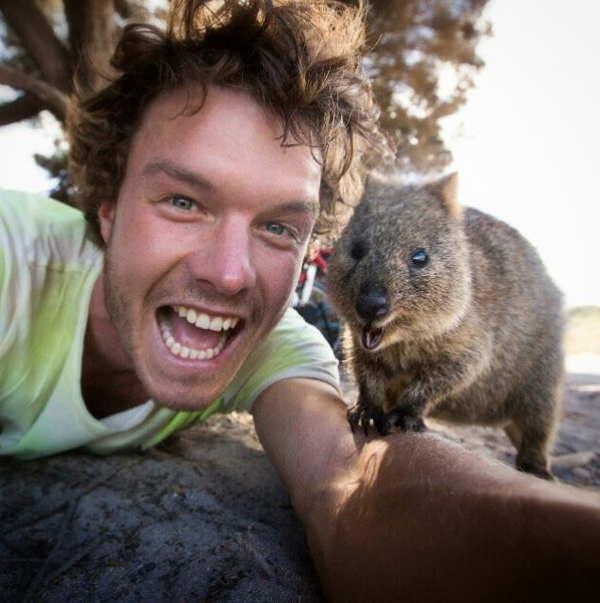 Hài hước chụp ảnh selfie cùng động vật ảnh 3