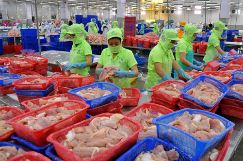 Bảo vệ cá tra xuất khẩu ảnh 1