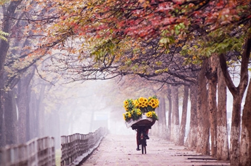 Tự khúc mùa đông ảnh 1