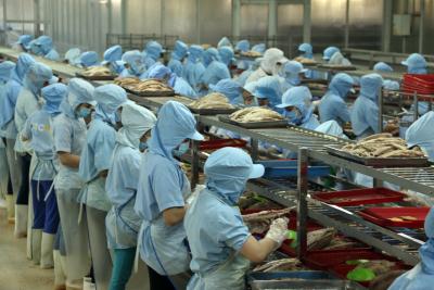 Sẽ hoàn thành mục tiêu xuất khẩu 2015 ảnh 1