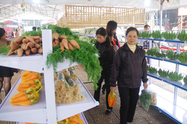 Khai trương chợ thương mại điện tử nông lâm thủy sản ảnh 2