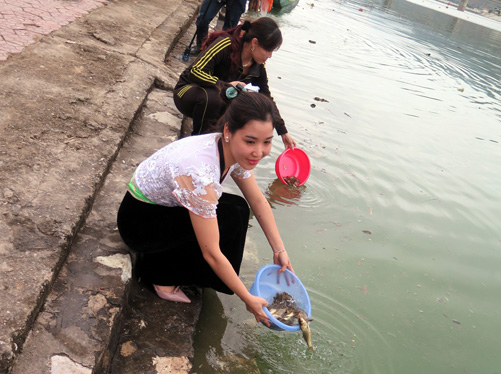 Lễ hội đua thuyền đuôi én Mường Lay ảnh 2