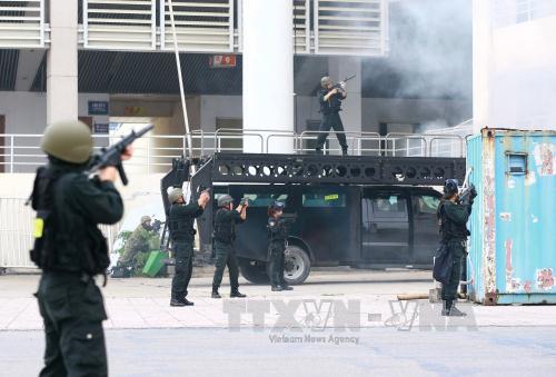 Tổng duyệt lễ xuất quân và diễn tập bảo vệ Đại hội Đảng ảnh 5