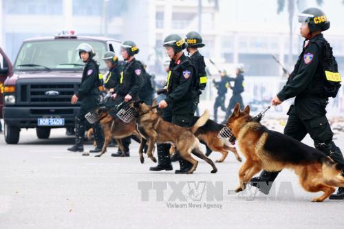 Tổng duyệt lễ xuất quân và diễn tập bảo vệ Đại hội Đảng ảnh 15