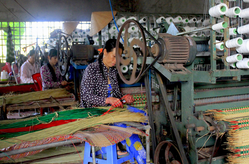Làng chiếu Định Yên vào Xuân ảnh 2