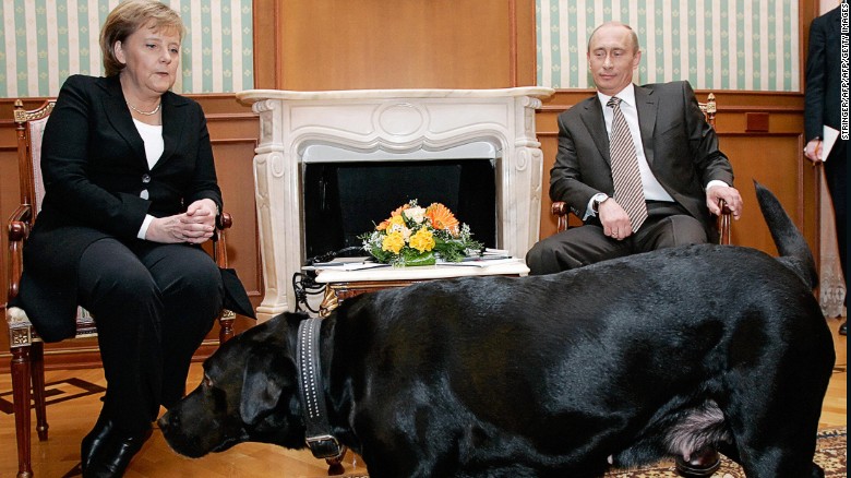 Ông Putin không dùng chó cưng dọa bà Merkel ảnh 1