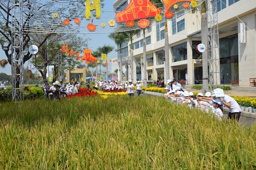 “Về Làng” ở Hội chợ hoa xuân Phú Mỹ Hưng ảnh 1