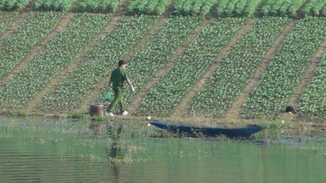 Tạm giữ đối tượng giết người phi tang xác dưới hồ Suối Cam ảnh 1
