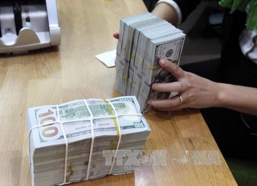 Tỷ giá trung tâm bật tăng 9 đồng, giá USD "đứng im" ảnh 1