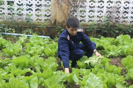 Một ngày trên đảo Bạch Long Vỹ ảnh 8