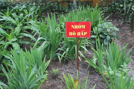 Một ngày trên đảo Bạch Long Vỹ ảnh 10