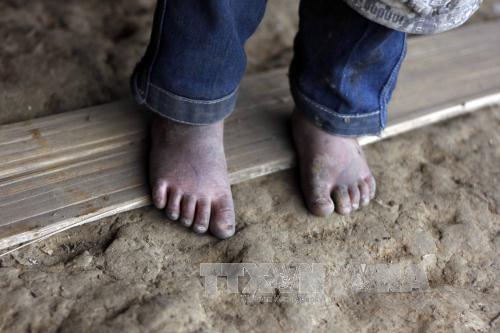 Cuộc sống dưới độ âm tại Sa Pa ảnh 12