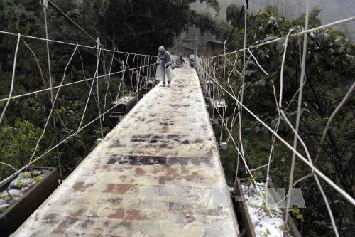 Cuộc sống dưới độ âm tại Sa Pa ảnh 11