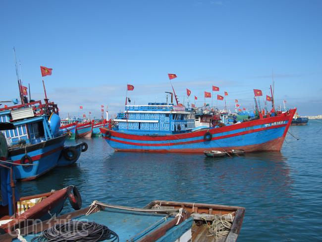 Xiêu lòng trước vẻ đẹp của Lý Sơn ảnh 9