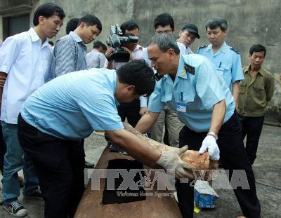 Thu giữ hơn 180 kg ngà voi tại Nội Bài ảnh 1
