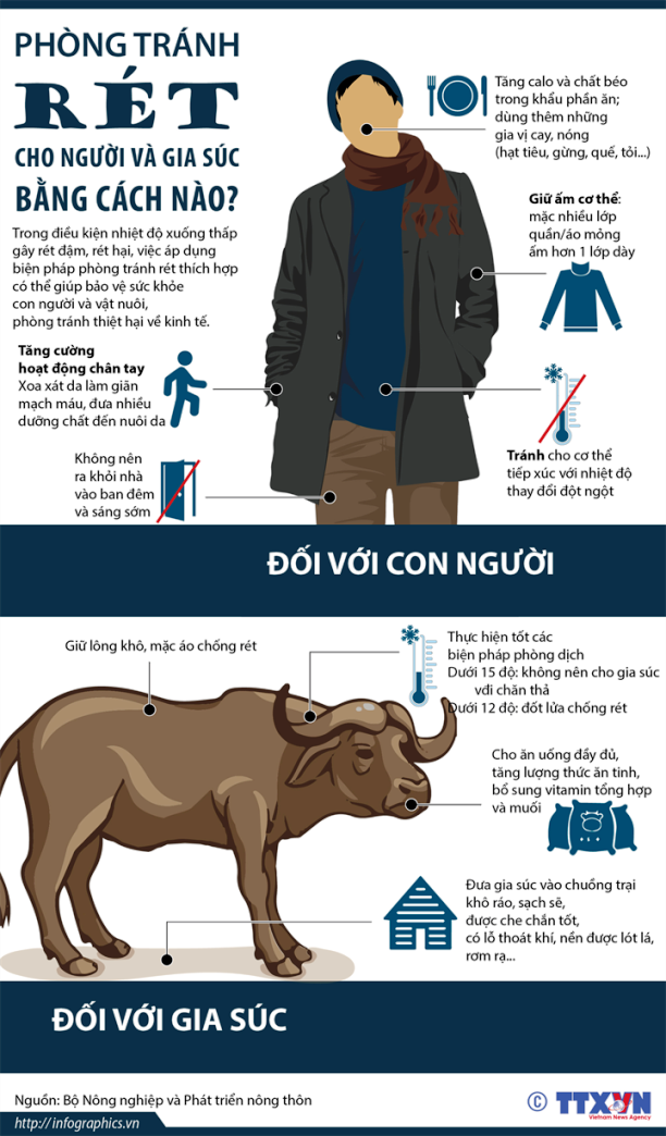 Phòng tránh rét cho người và gia súc bằng cách nào? ảnh 1