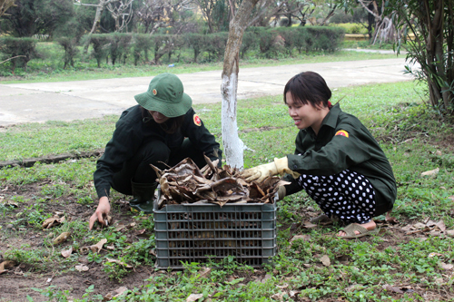 Vui xuân đầm ấm nơi đảo Bạch Long Vỹ ảnh 2
