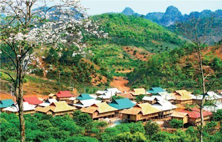 Xuân về trên bản tái định cư thủy điện Sơn La ảnh 1