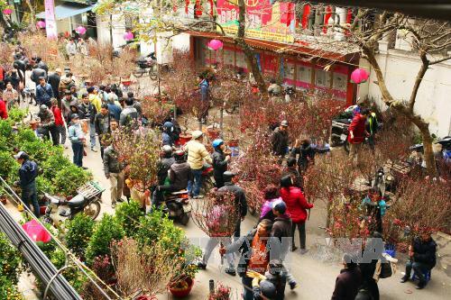 Rạng rỡ chợ hoa Tết phố Hàng Lược ảnh 1