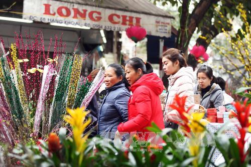 Rạng rỡ chợ hoa Tết phố Hàng Lược ảnh 5