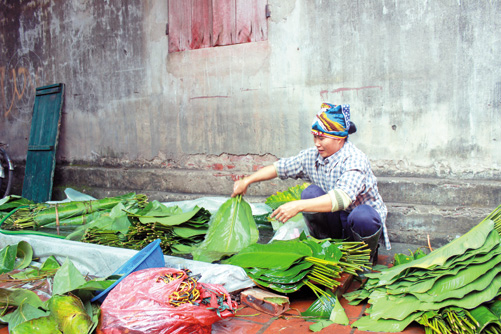 Làng nghề bánh chưng rộn ràng đón Tết ảnh 1